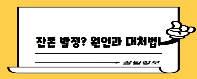 고양이 중성화 수술 후 발정, 제대로 이해하고 관리해야 합니다!