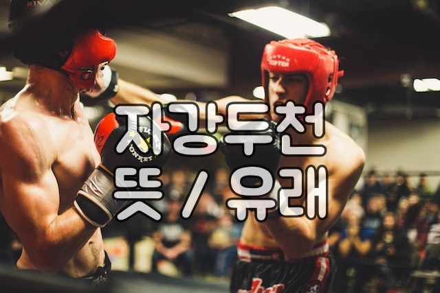헤드기어-착용-복서