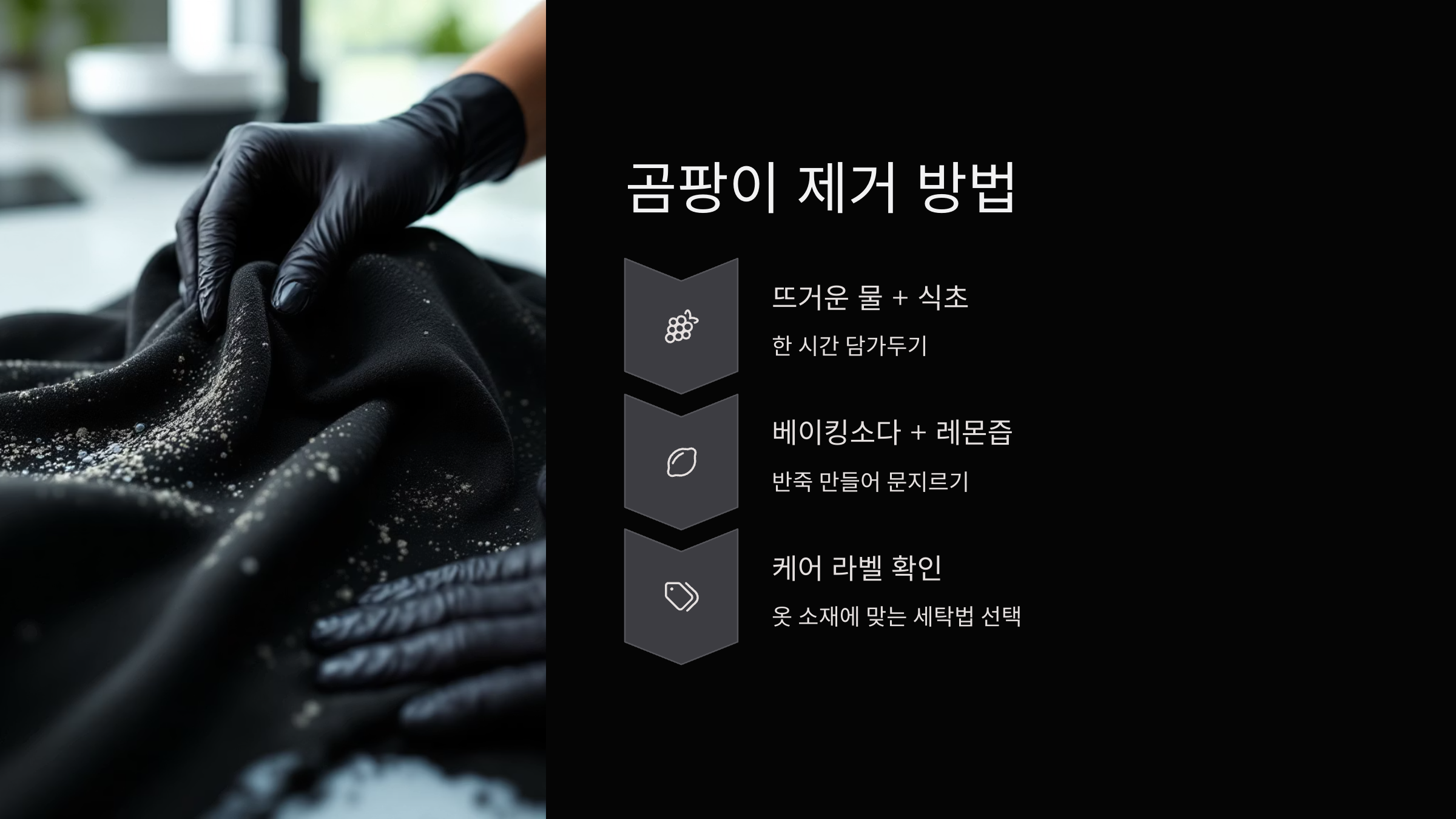 곰팡이제거