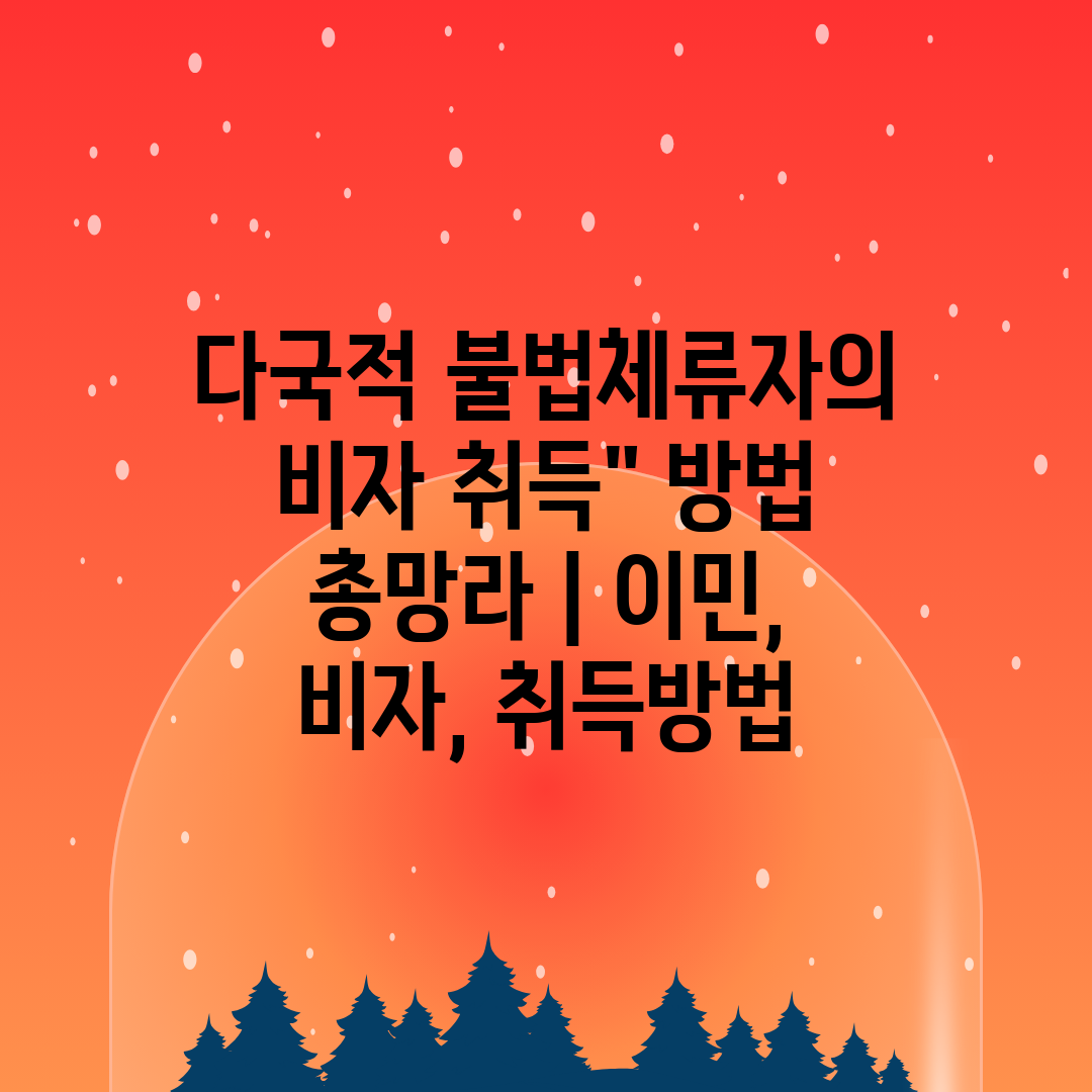 다국적 불법체류자의 비자 취득 방법 총망라  이민, 비