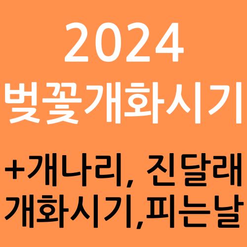 2024 벚꽃개화시기&#44; 벚꽃피는날짜&#44; 벚꽃피는날