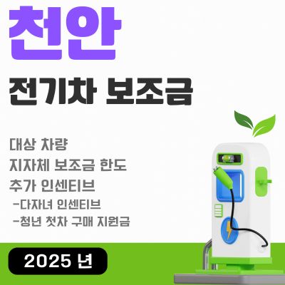 썸네일_2025년 천안 전기차 보조금 (테슬라 모델3, 모델Y, EV4, 아이오닉5, 다자녀, 청년 첫차)