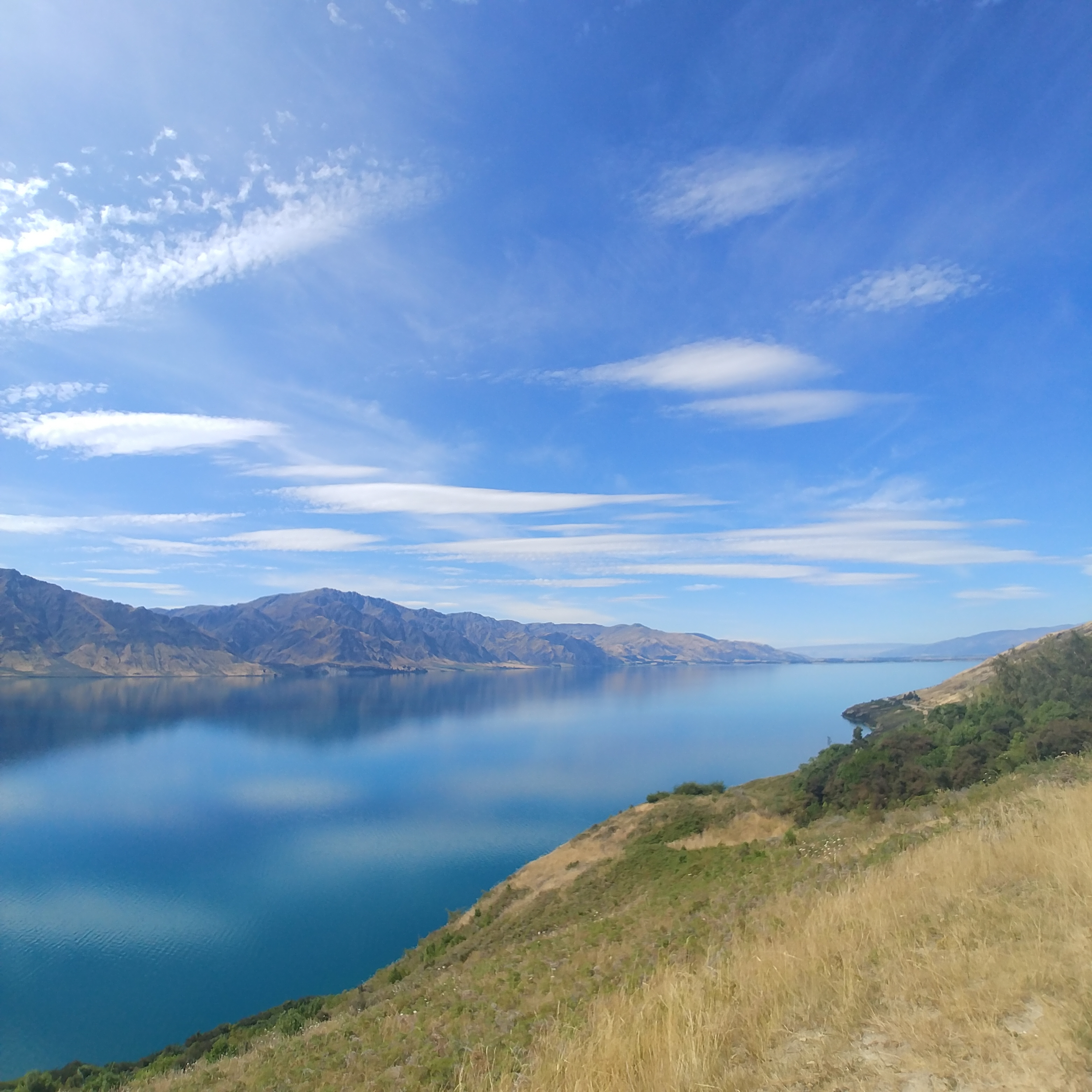 뉴질랜드 남섬 여행 하웨아 호수 Lake Hawea Lookout