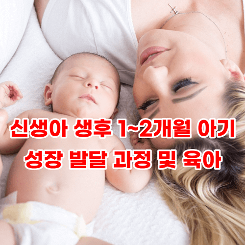 신생아 생후 1~2개월 아기 성장 발달 과정 및 육아