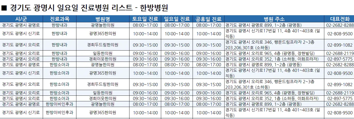 광명시-일요일-진료병원-리스트-예시