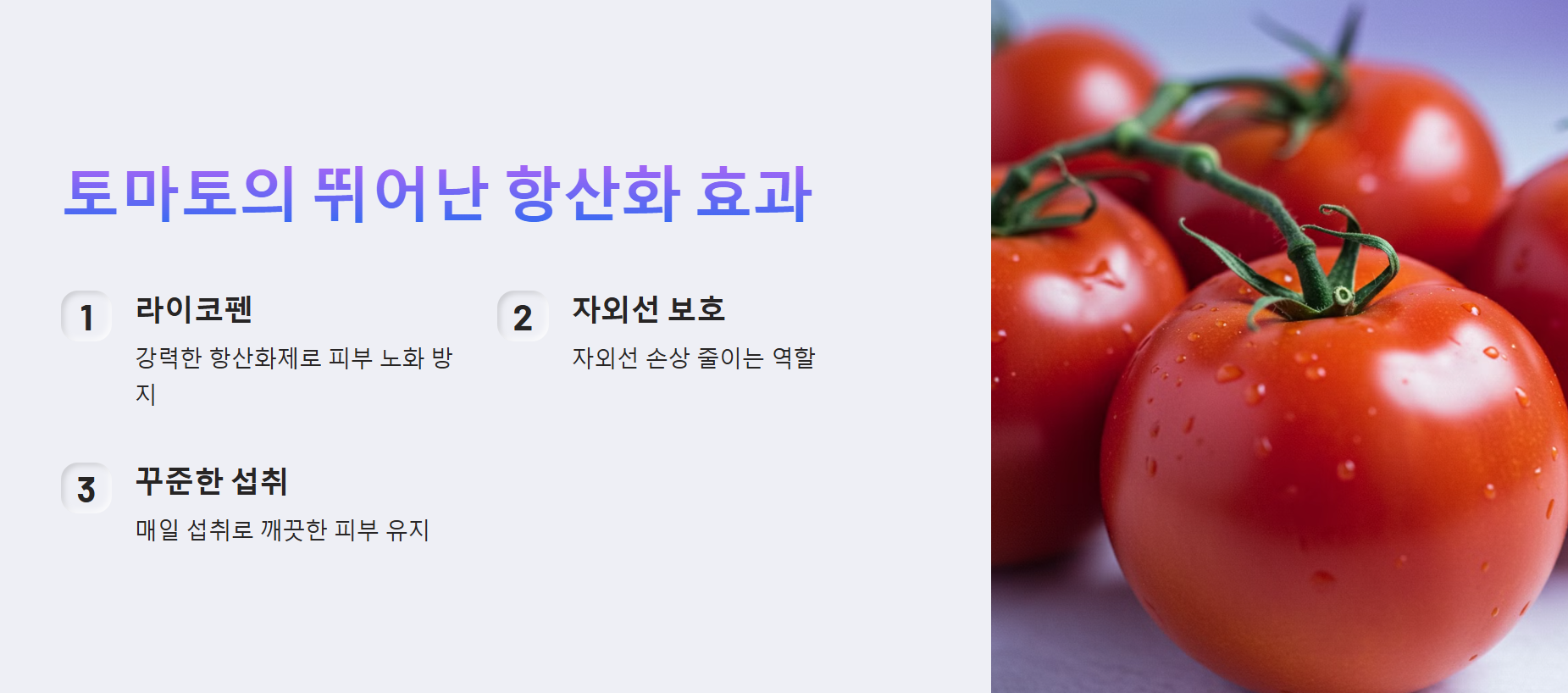토마토의 뛰어난 항산화 효과