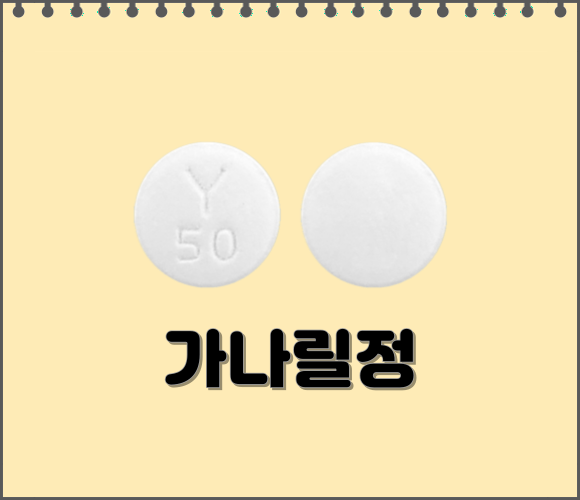 가나릴정_모양