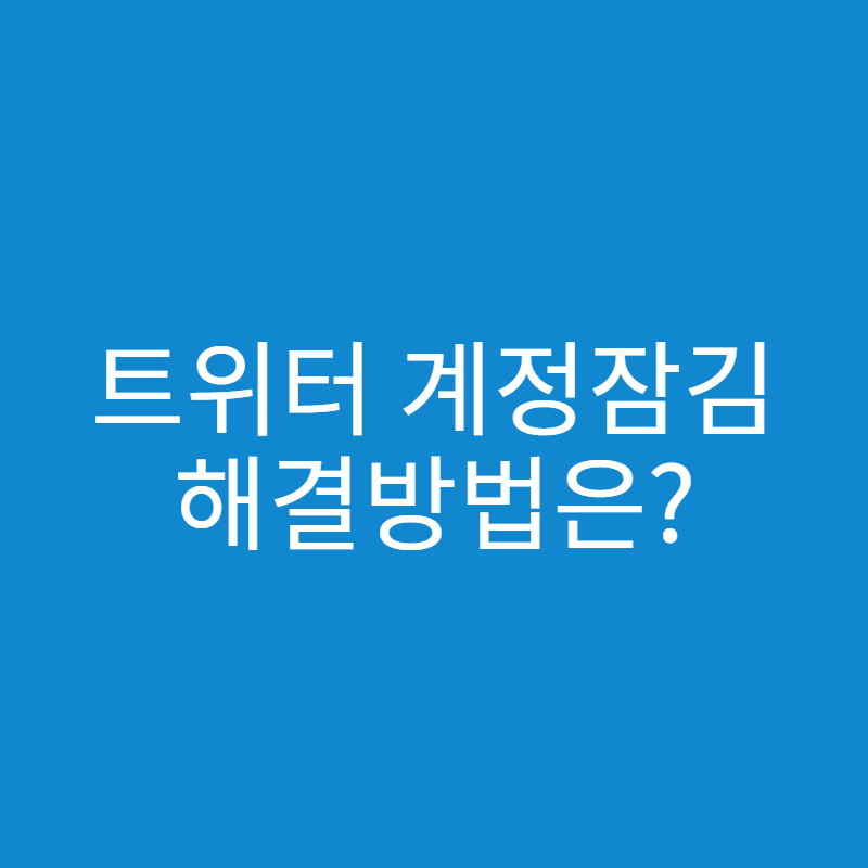  트위터 계정 잠김 해결방법
