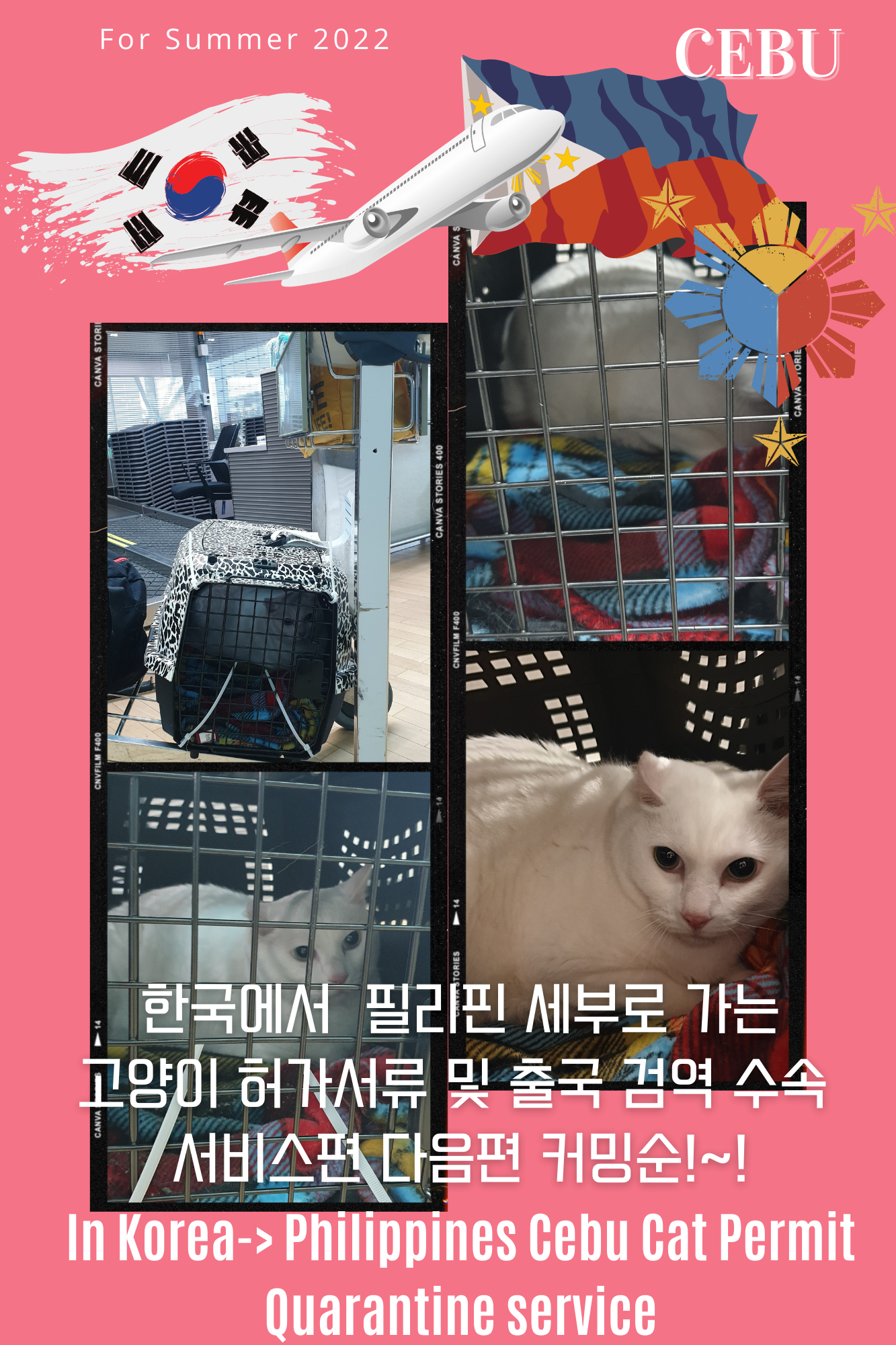  강아지 고양이 대형견 반려동물 필리핀 운송 강아지수입허가 고양이수입허가 강아지마닐라 고양이마닐라 반려견마닐라 강아지세부 고양이세부 강아지필리핀출국 고양이필리핀출국 서비스 ..