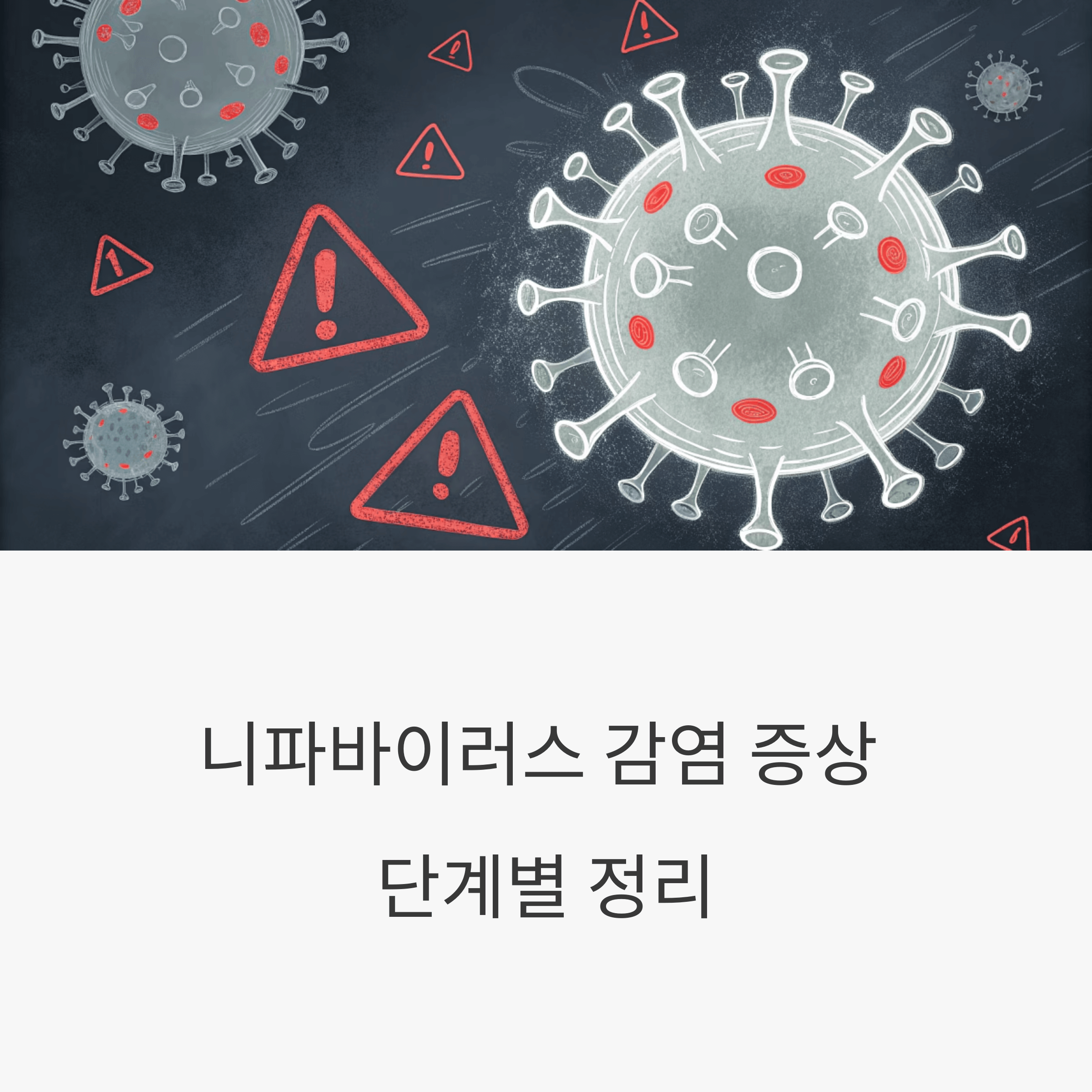 시기별 증상 변화 완전 정리