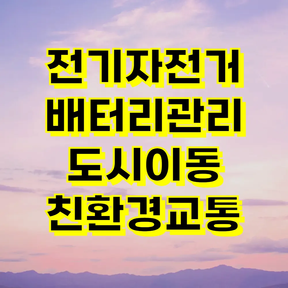 전기자전거 배터리관리 도시이동 친환경교통