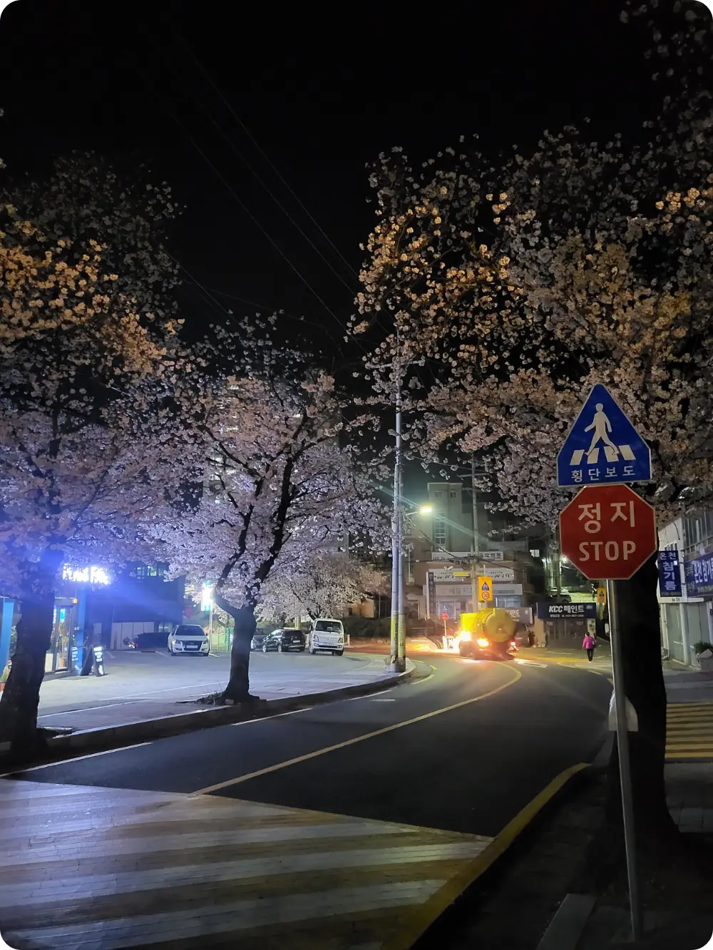 동네-야경-벚꽃사진