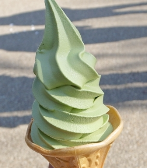 일본 오사카성 녹차 아이스크림