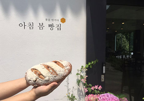 아침고요수목원 아침봄 빵집