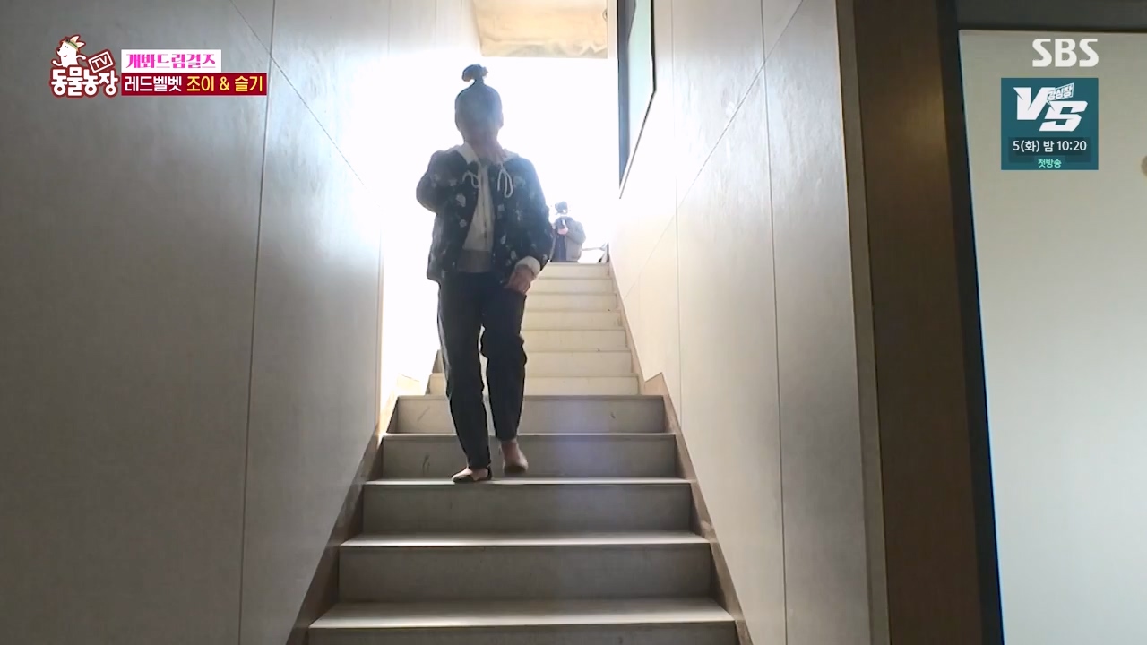 TV 동물농장.E1147.231127p-NEXT.mp4_20231126_170355.059.jpg