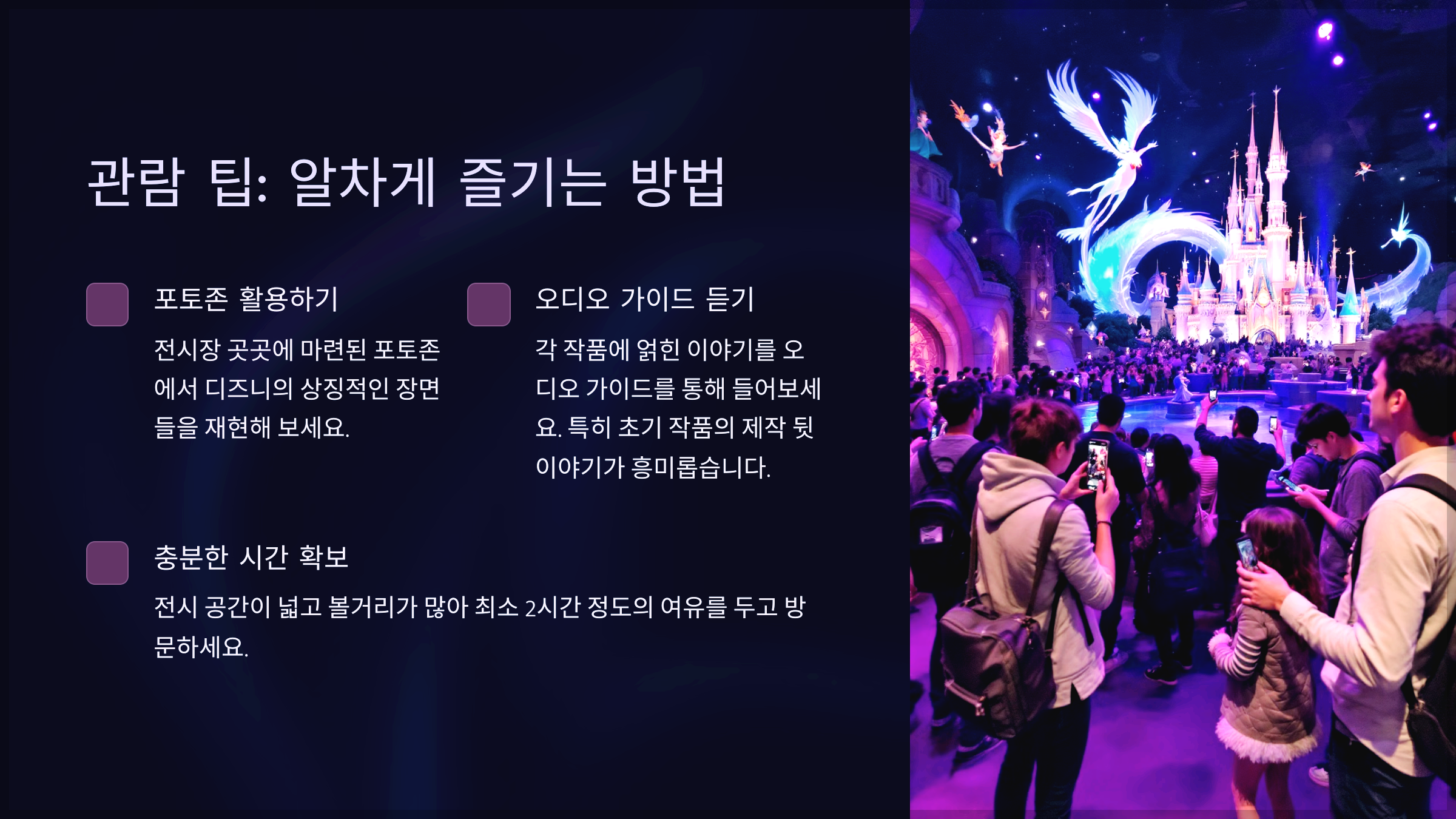 관람 팁: 알차게 즐기는 방법