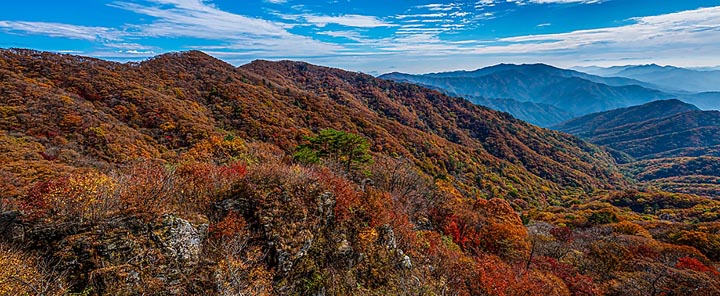 치악산 등산코스 추천