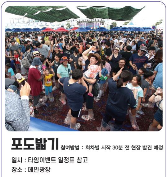 포도밟기