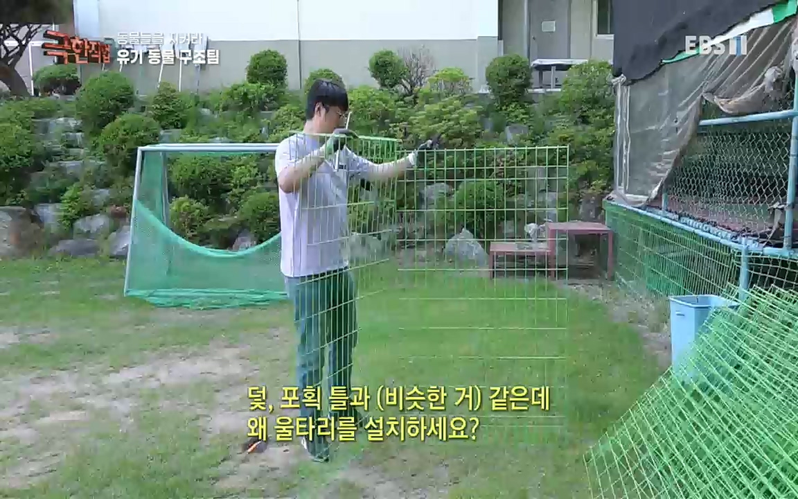 TV - 교육의 중심 EBS동물들을 지켜라, 수의사와 유기 동물 구조팀.mp4_20220913_200153.888.jpg