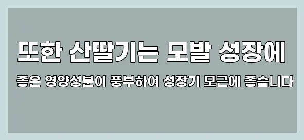  또한 산딸기는 모발 성장에 좋은 영양성분이 풍부하여 성장기 모근에 좋습니다