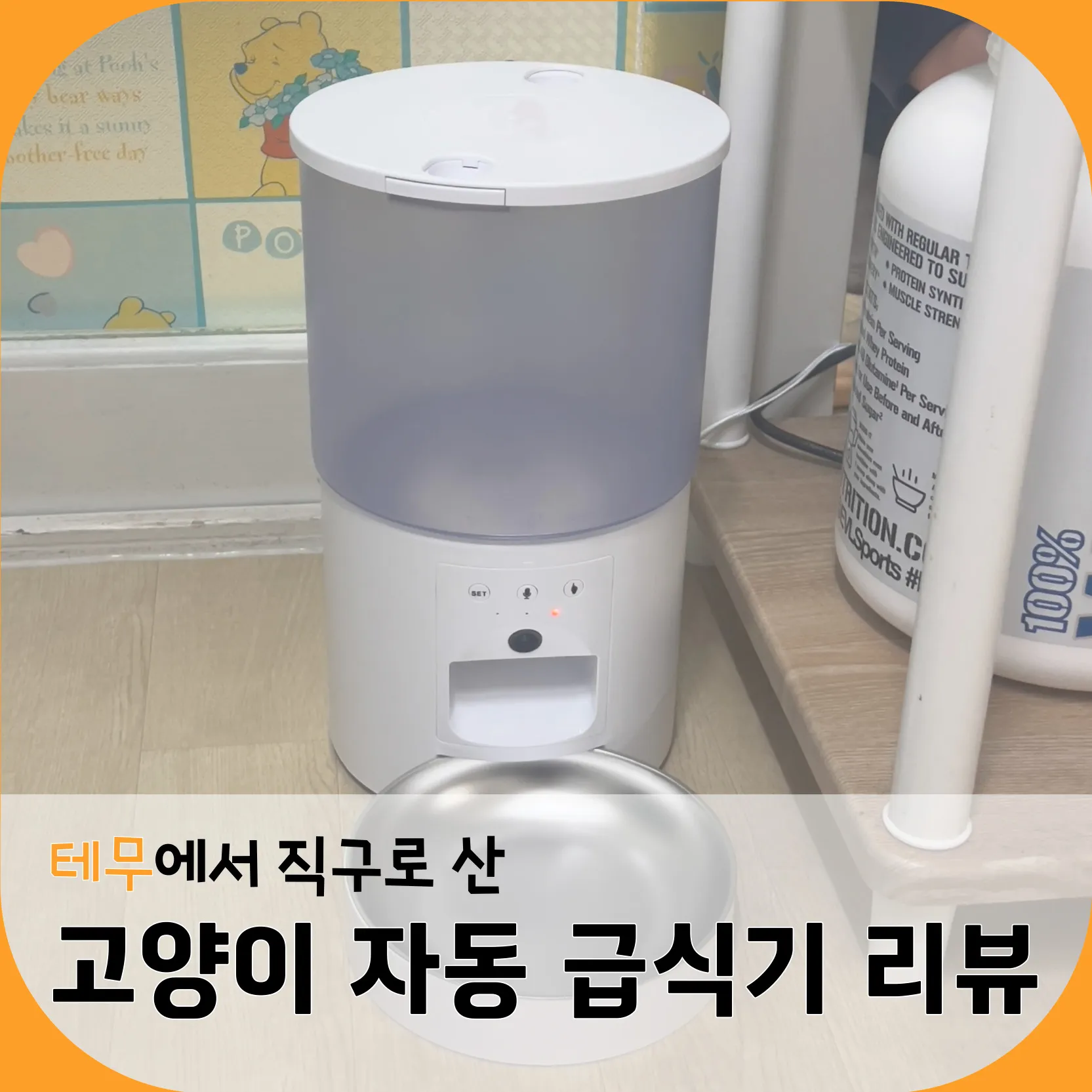 테무에서 직구로 산 고양이 자동급식기 리뷰