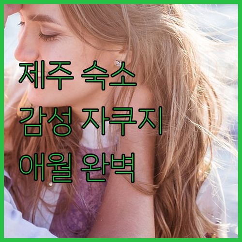 제주 감성 숙소 추천 자쿠지, 샐리스