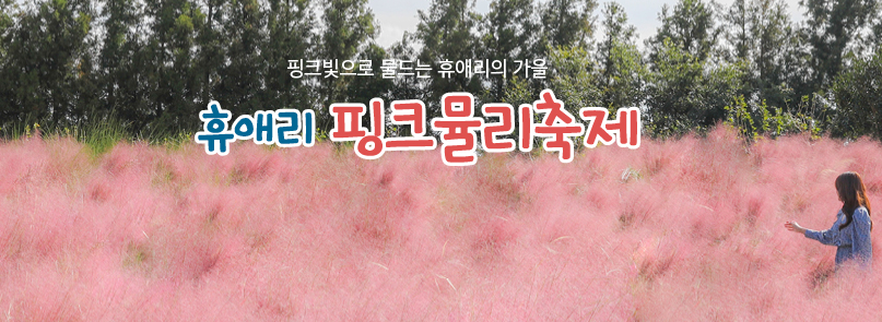 2024년 10월 가을 축제 일정