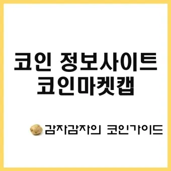 코안마켓캡 분석_24