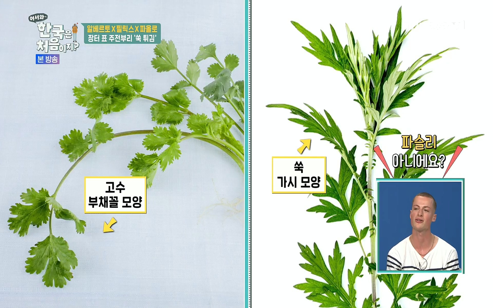 어서와~ 한국은 처음이지.E250.220630p.H264-F1RST.mp4_20220701_200836.596.jpg