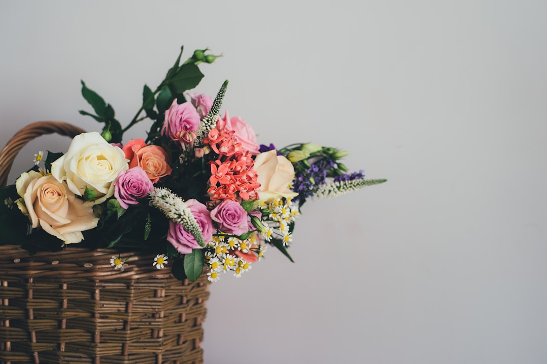 Arrangement