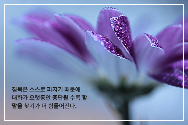 가까이에서 본 물방울이 맺혀 있는 보라색 꽃