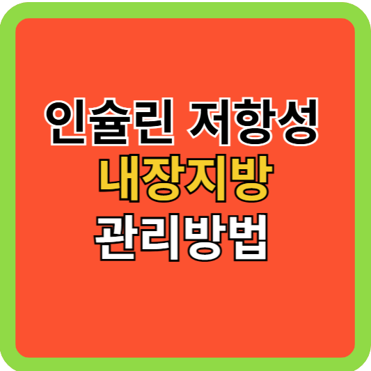 인슐린저항성 내장지방 관리방법!