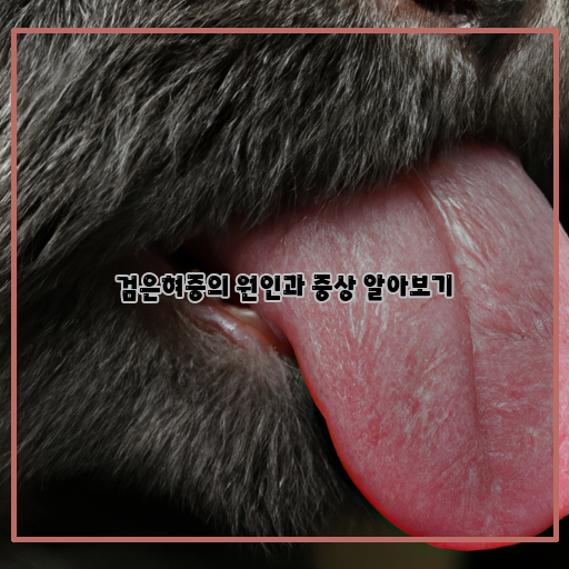  검은혀증: 원인과 증상 파악하기