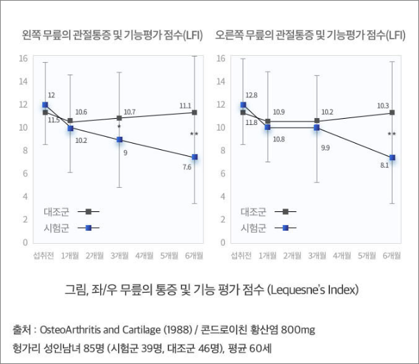 무릎 관절통증 평가점수