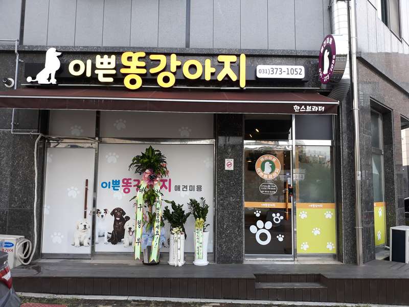 1호선 세마역 애견미용 잘하는 곳 BEST4 | 템플릿 | 템플릿 | 템플릿 | 템플릿 | 템플릿 | 총정리 - 3. 이쁜똥강아지 소개 3. 이쁜똥강아지 소개