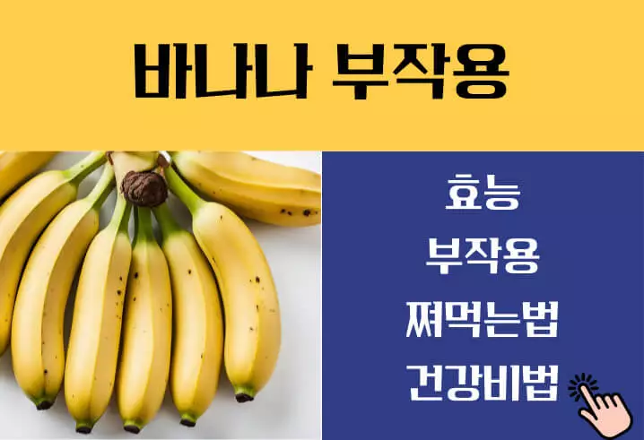 바나나 효능 부작용