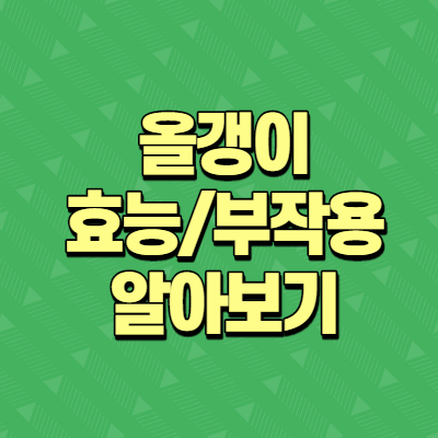  올갱이 효능과 부작용 알아보기
