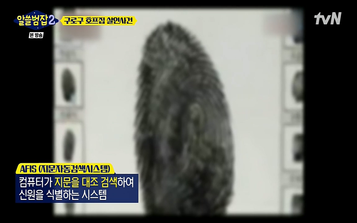 알쓸범잡 2.E12.220404p-NEXT.mp4_20220404_183804.189.jpg