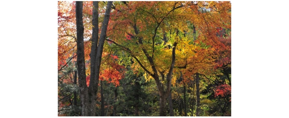 정부24온라인방법 병적증명서발급 3