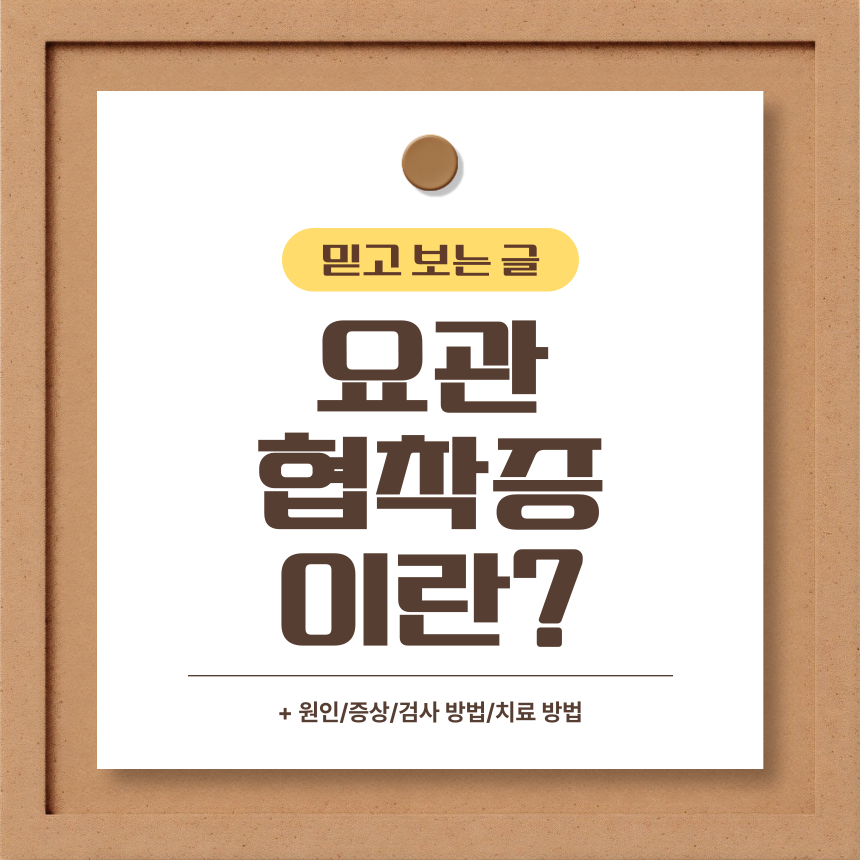  요관 협착증 이란?