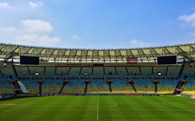 축구경기장 전체적으로 넓게 찍은 사진