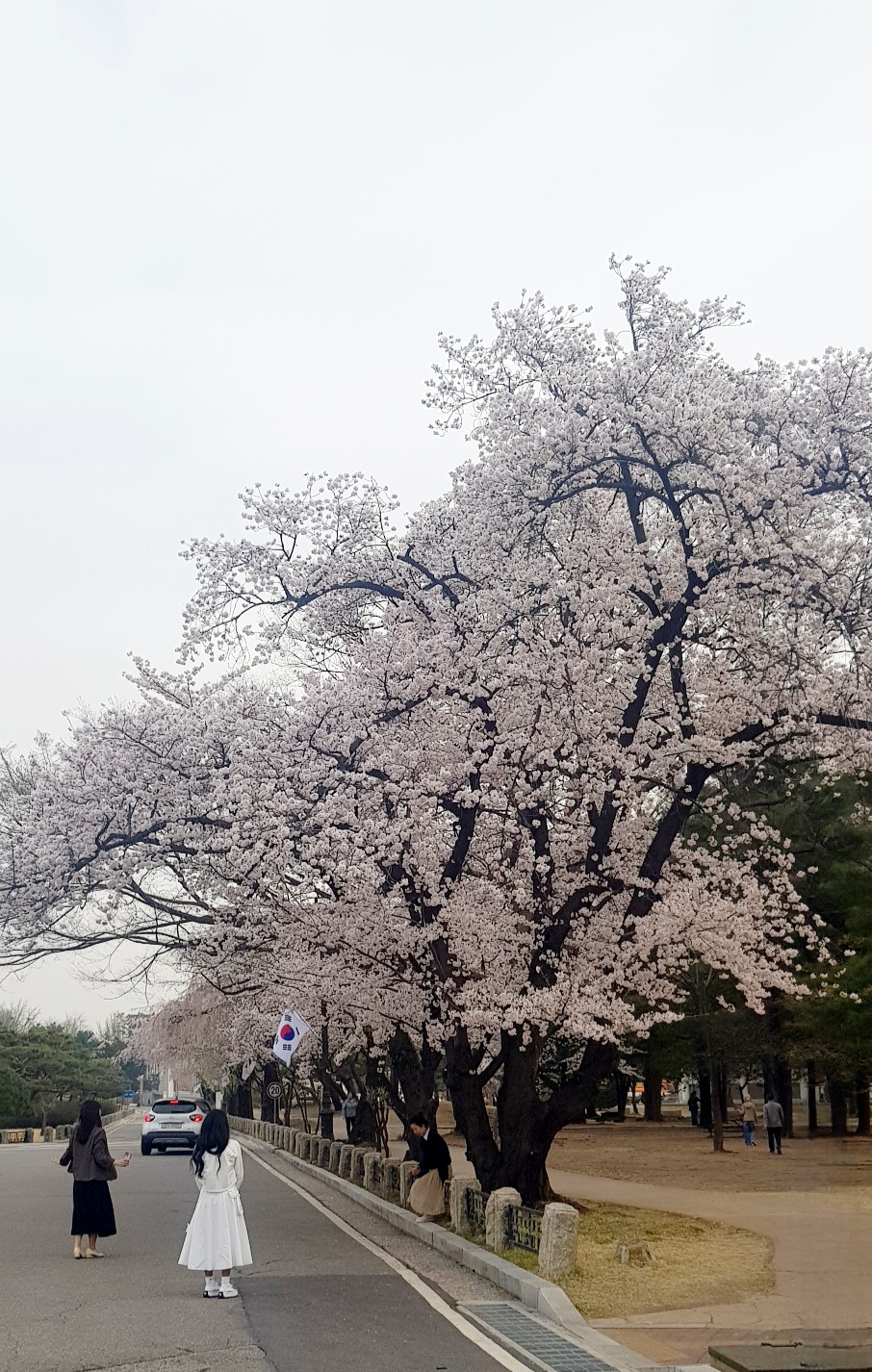 수양 이미지