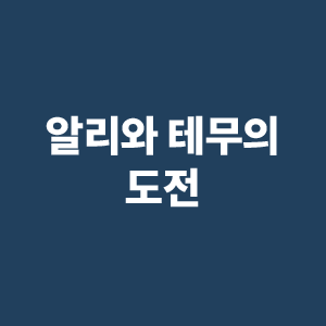 알리익스프레스-테무