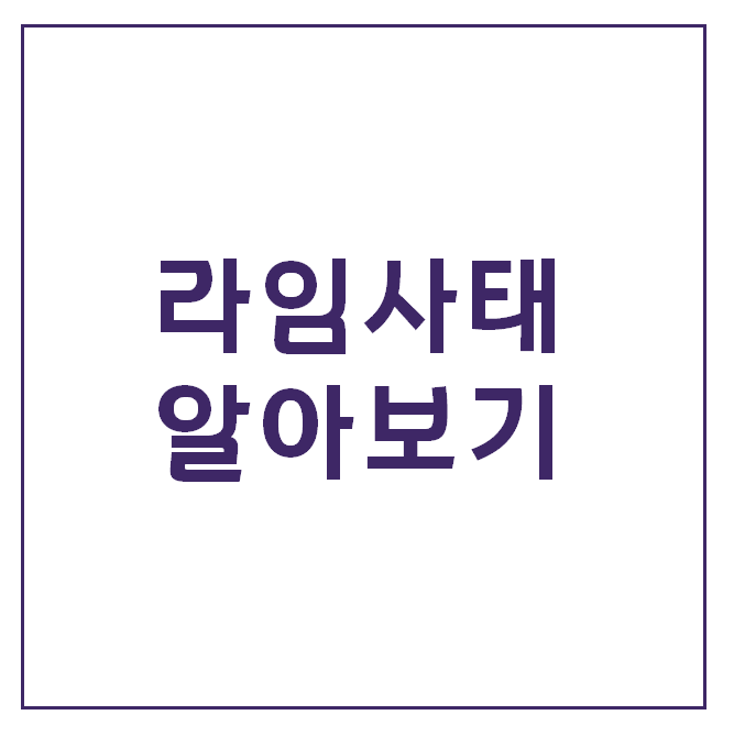  [라임사태 알아보기] 라임자산운용과 불공정거래