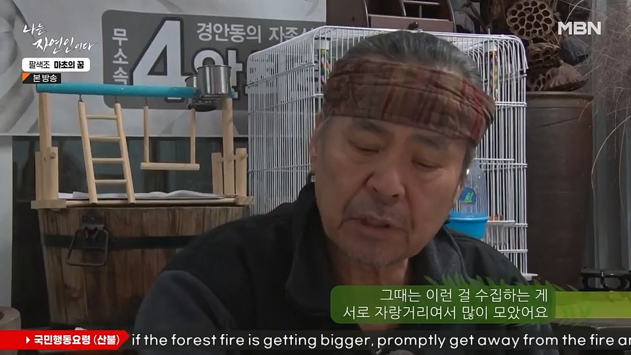 나는 자연인이다.E544.230309p-NEXT.mp4_20230309_191749.278.jpg