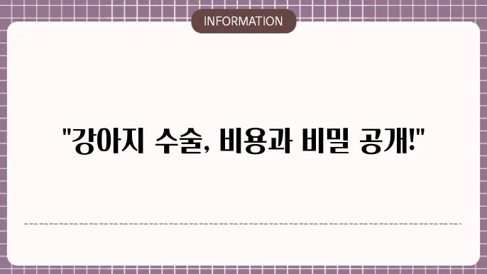 강아지 수컷중성화 수술비용 - 가격대와 과정