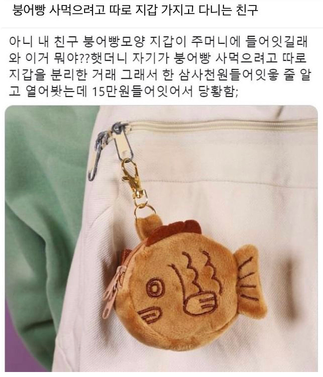  친구가 붕어빵 지갑을 가지고 다니는 이유