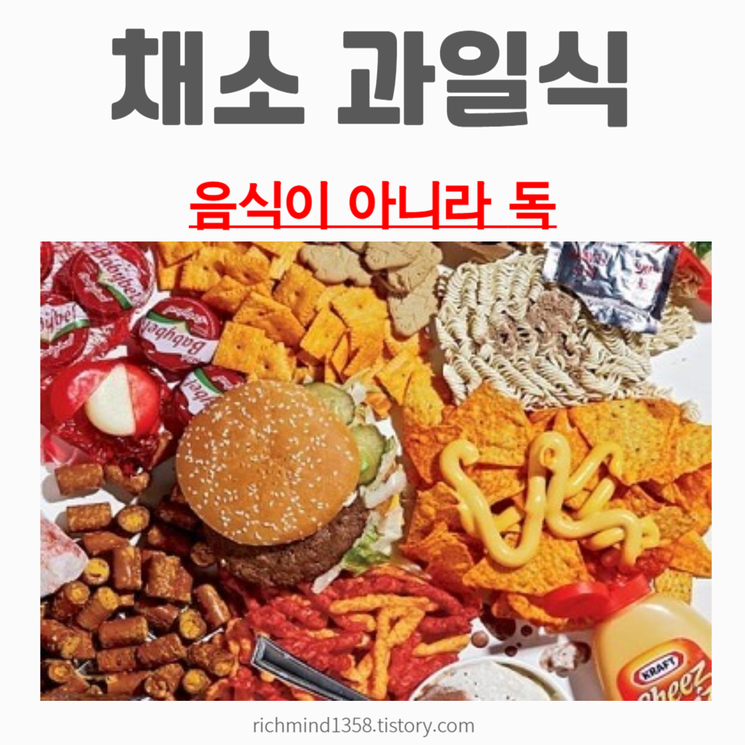 채소과일식 살찌는 이유