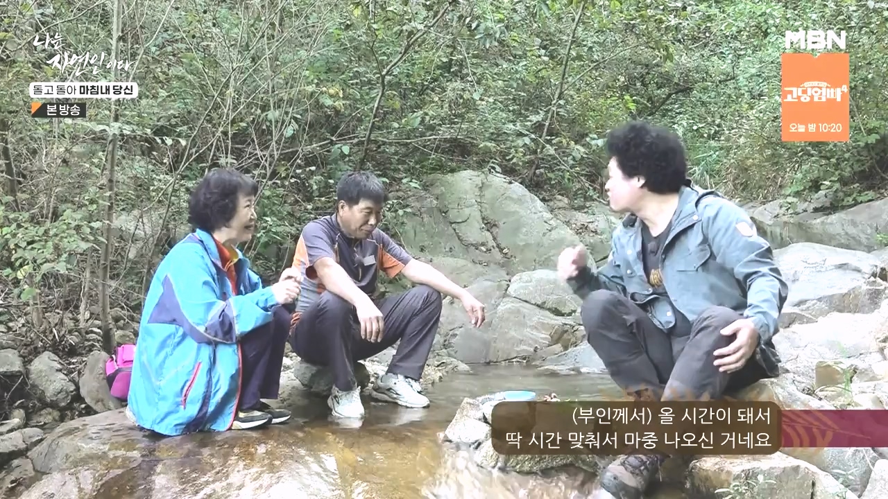 나는 자연인이다.E577.231026p-NEXT.mp4_20231026_200353.442.jpg