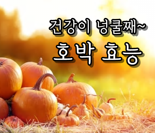  못생겼다고? 넘사벽 호박, 호박씨 효능 같이 알아보아요~/pumpkin